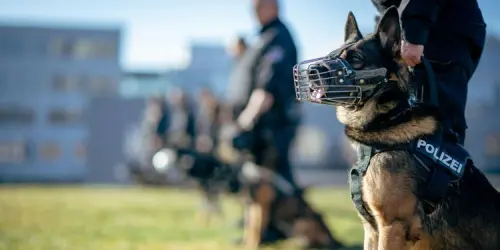 Un chien de police muselé, assis à côté de son maître